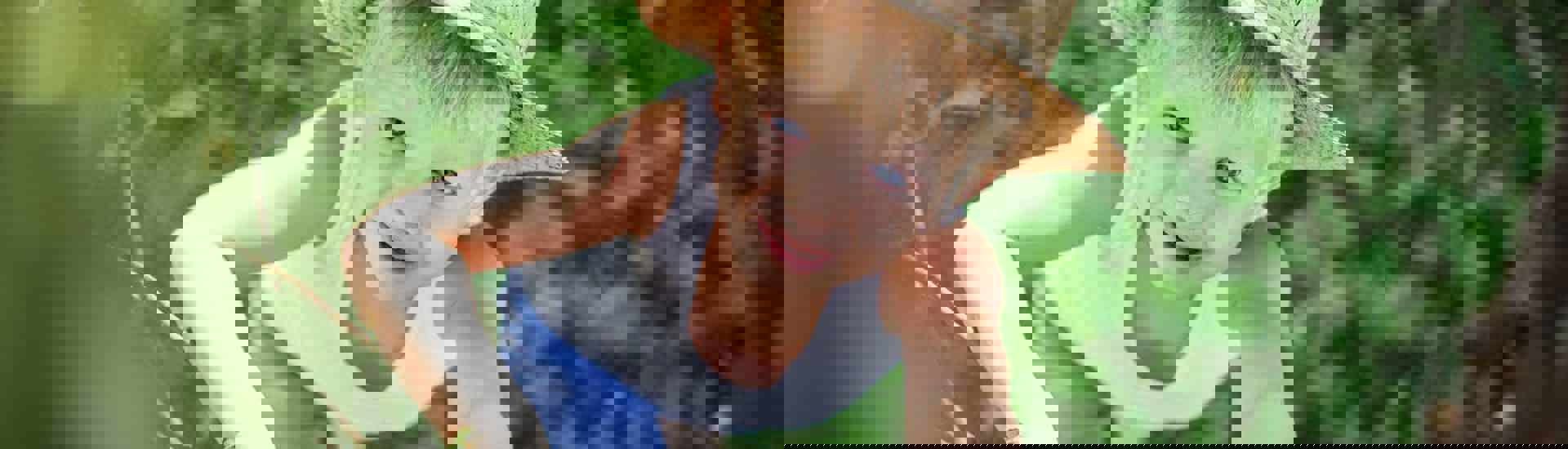 Kind klimt in boom: tips voor risicovol spelen