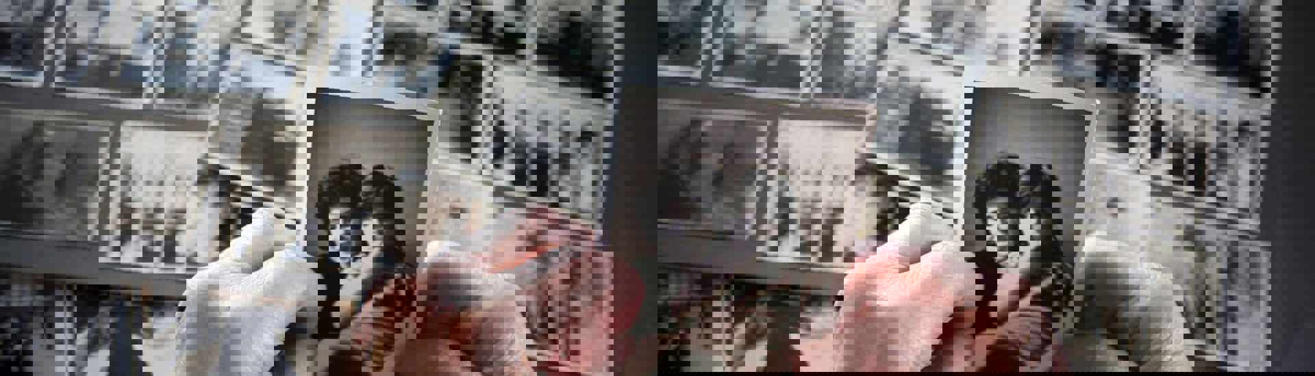 Oude foto's om een stamboom op te stellen