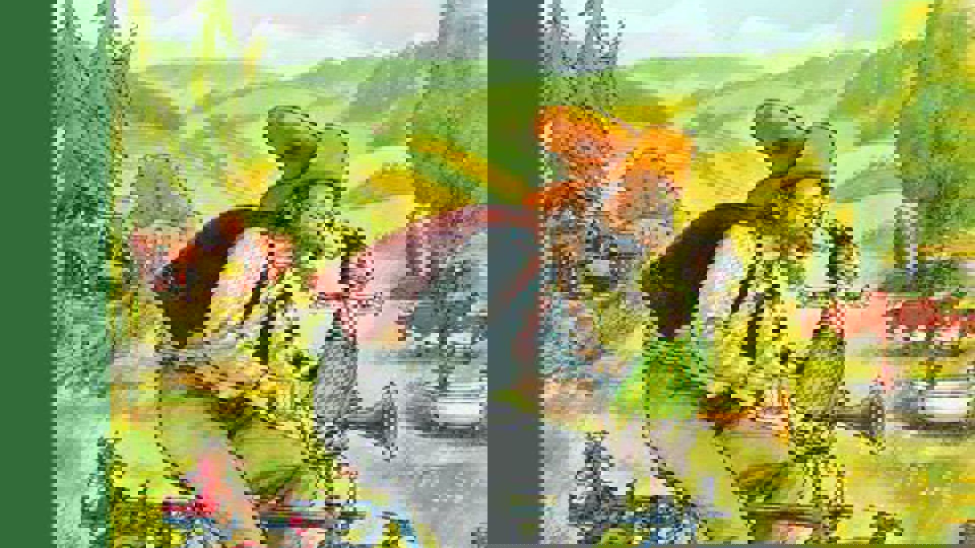 Cover Op avontuur met Pettson en Findus Infodok.jpg