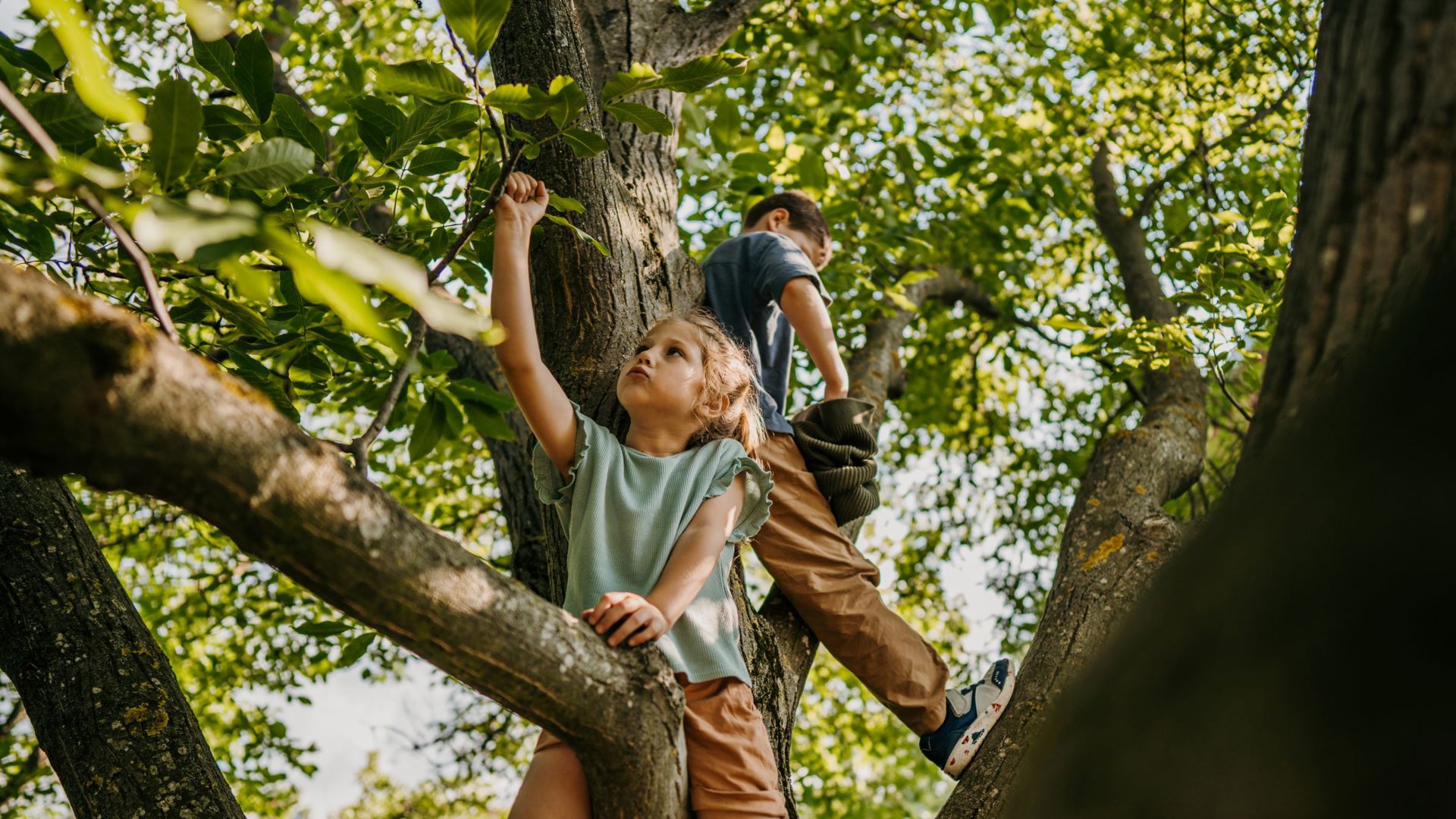 Activiteiten Banner Lente Zomer Kinderen Spelen Buiten Klimmen Boom