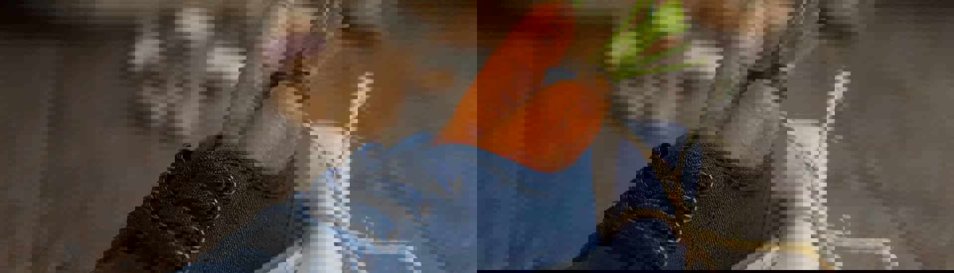 Schoen voor Sinterklaas: hoe help je jouw kind met Sinterklaasstress?