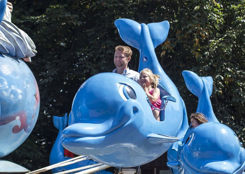 Gezinsbond ledenkorting Boudewijnseapark Dolfiswing