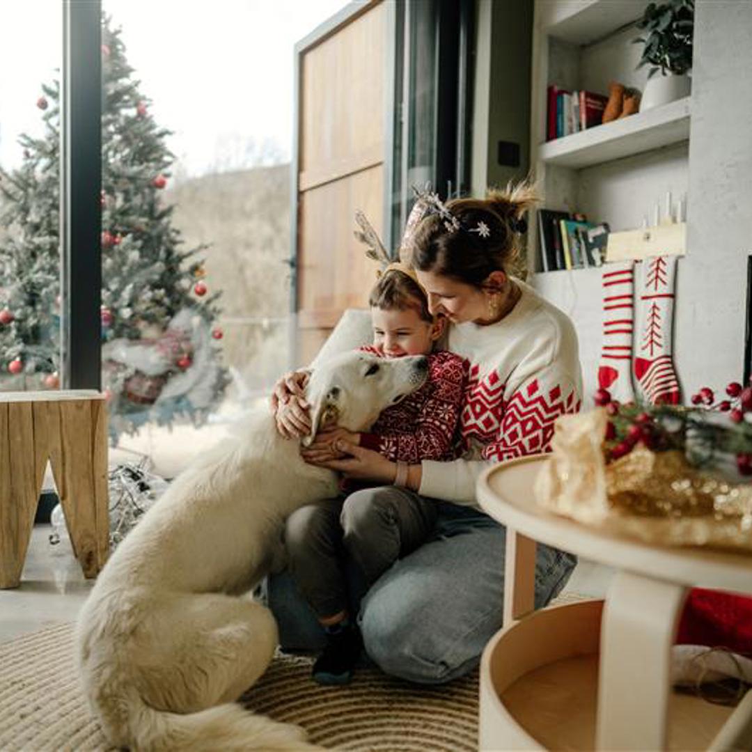 Gezinsbarometer December Kerstperiode Veel Gezinnen Vieren Alleen