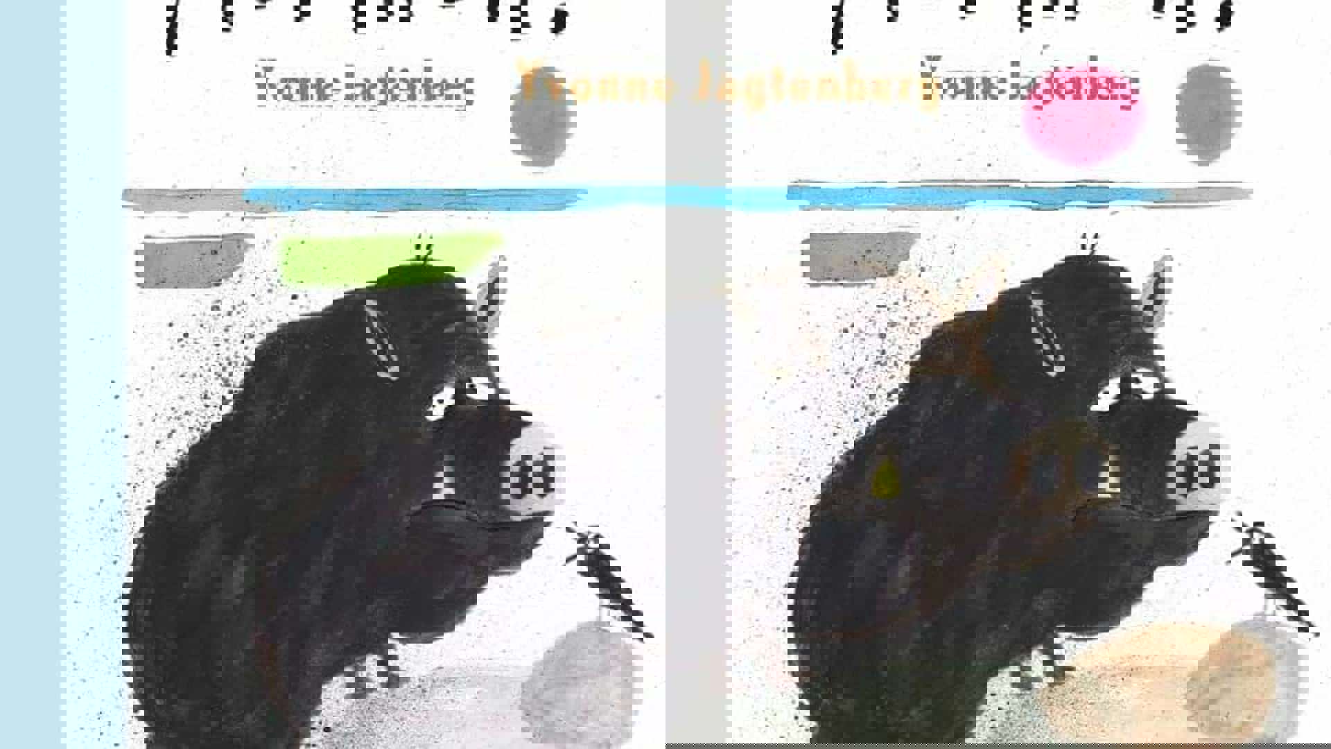 Cover Kop op Herman Gottmer.jpg