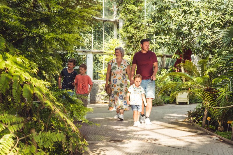 Plantentuin NIEUW