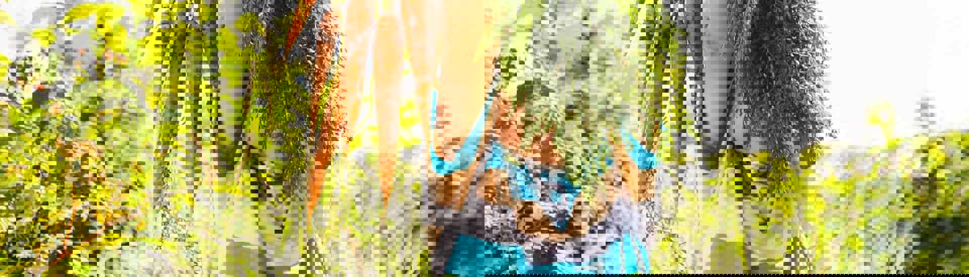 Kind met wortels: Schep geen hormoonverstoorders op je bord