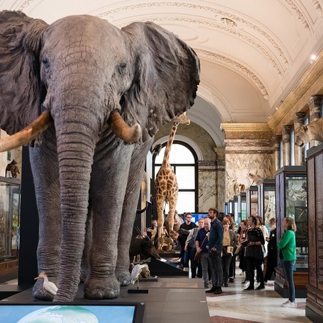 Gezinsbond ledenkorting Africamuseum