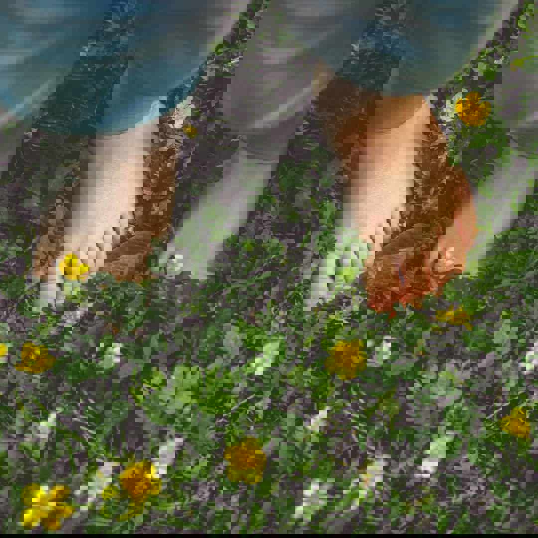 Kindervoetjes in het gras: pas op voor een wespensteek!