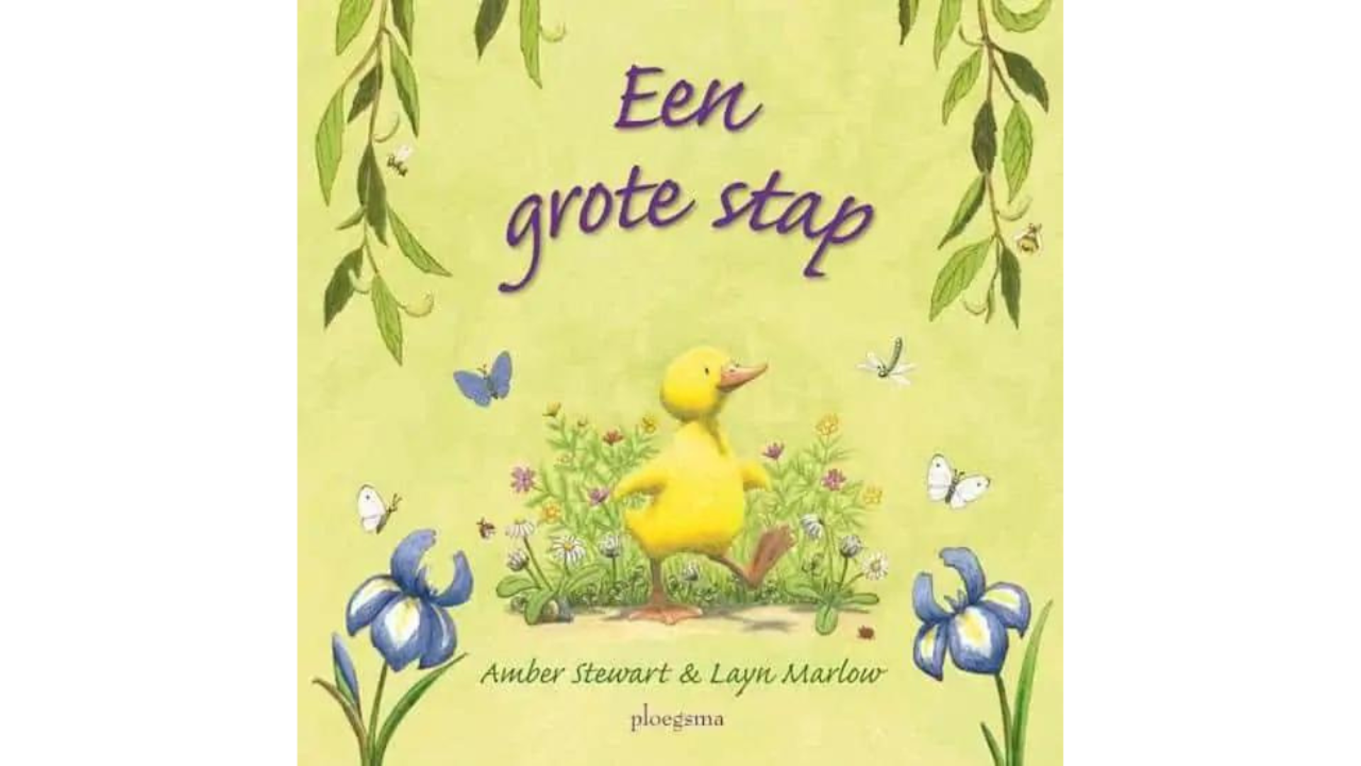 Boek: Een grote stap