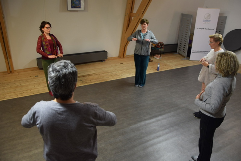 ZHI NENG QIGONG
