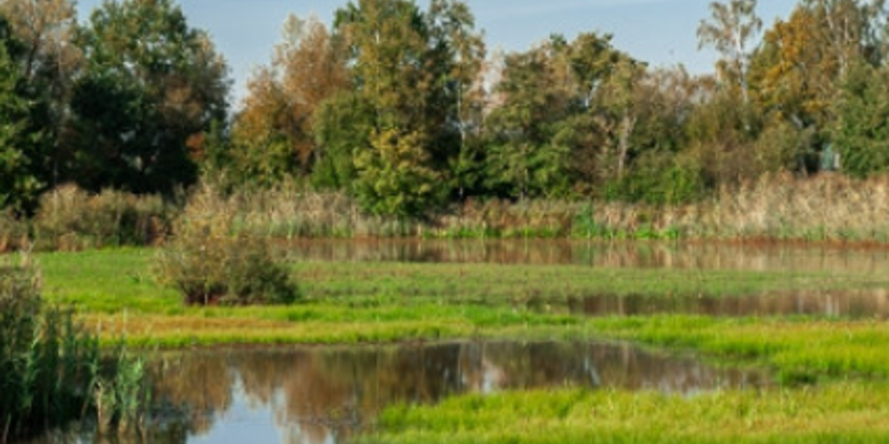 werkgroep 55+ : wandeling in De Zegge