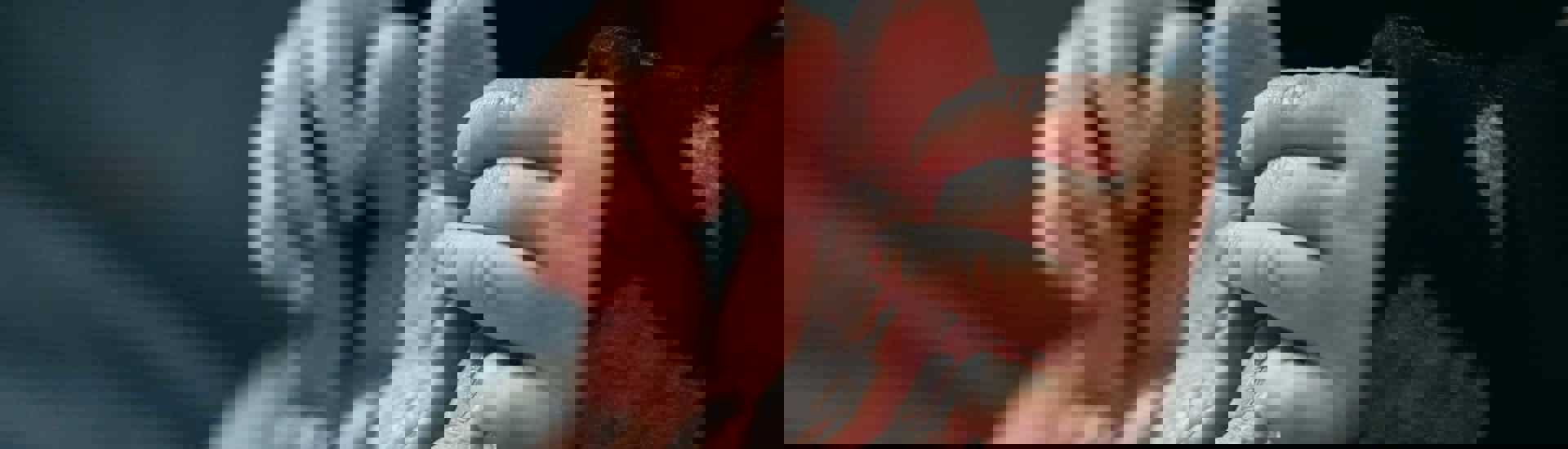 Babyhandjes houden grootouderhand vast: grootouder worden verandert je leven