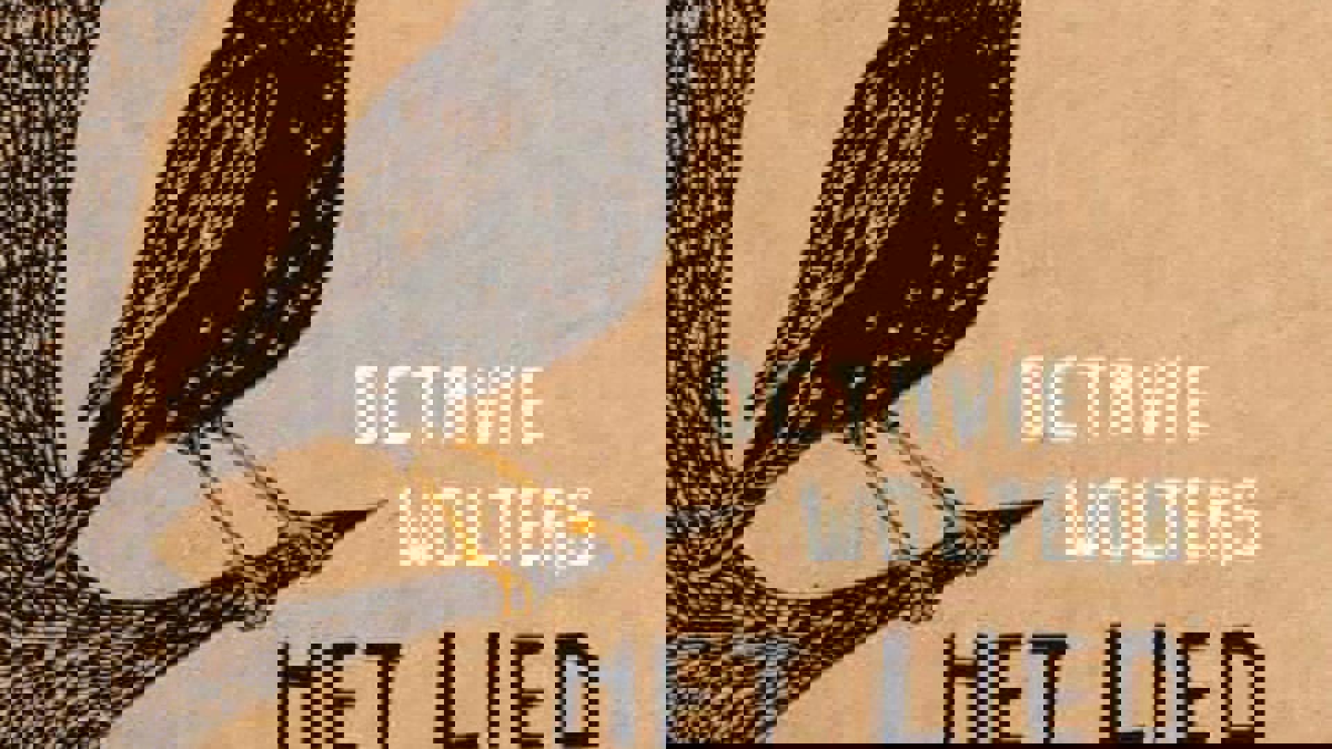 Cover Het lied van de spreeuw Ploegsma.jpg