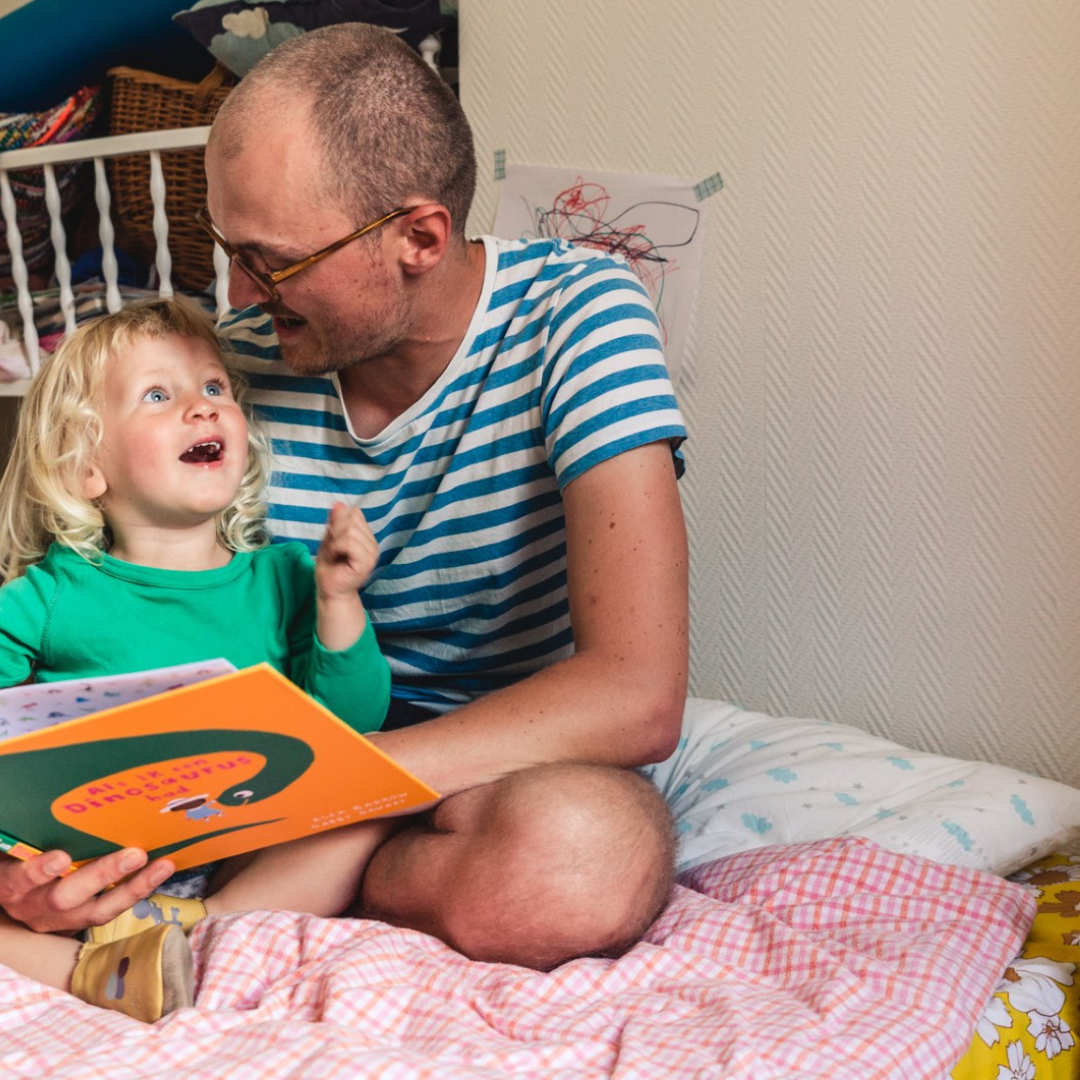 Nieuwe Stijl Webinars (1)