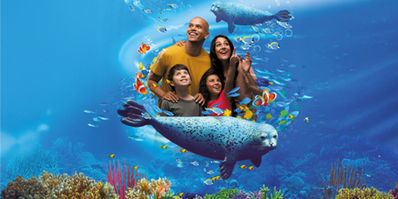 Sea Life NIEUW