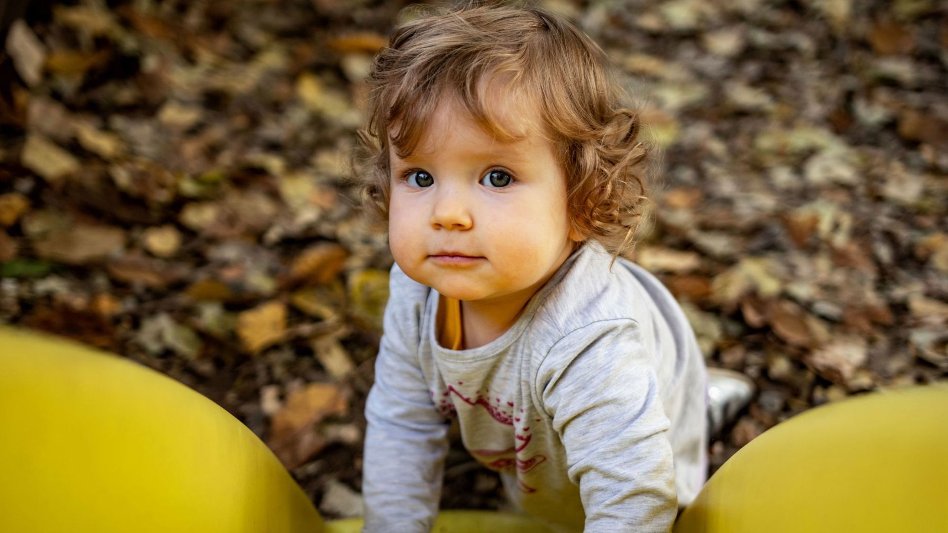 Gezinsbond peuter doelgroep