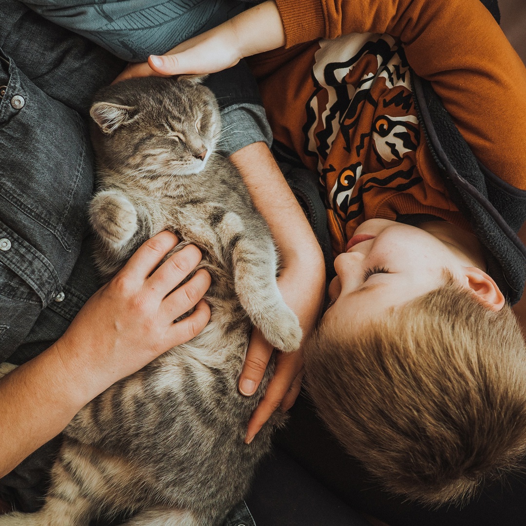 Kleuter met kat: hoe gaat een kind om met het verlies van een huisdier