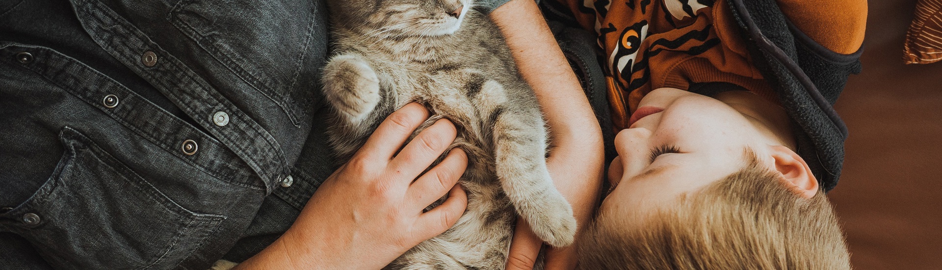 Kleuter met kat: hoe gaat een kind om met het verlies van een huisdier