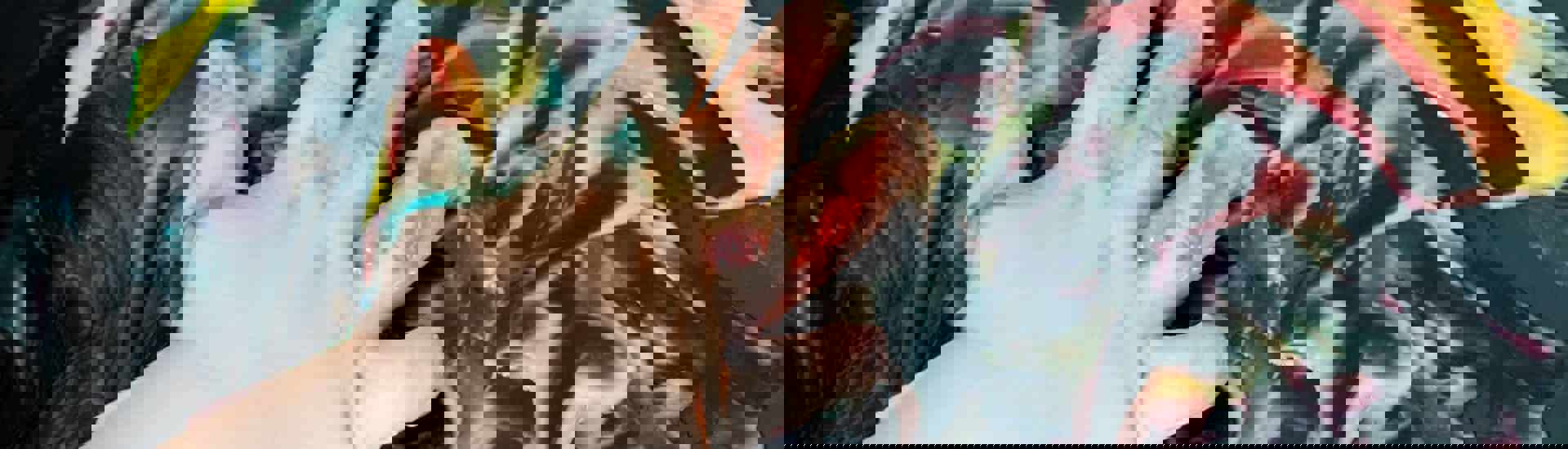 Voelspelletjes helpen de tastzin van je baby ontwikkelen