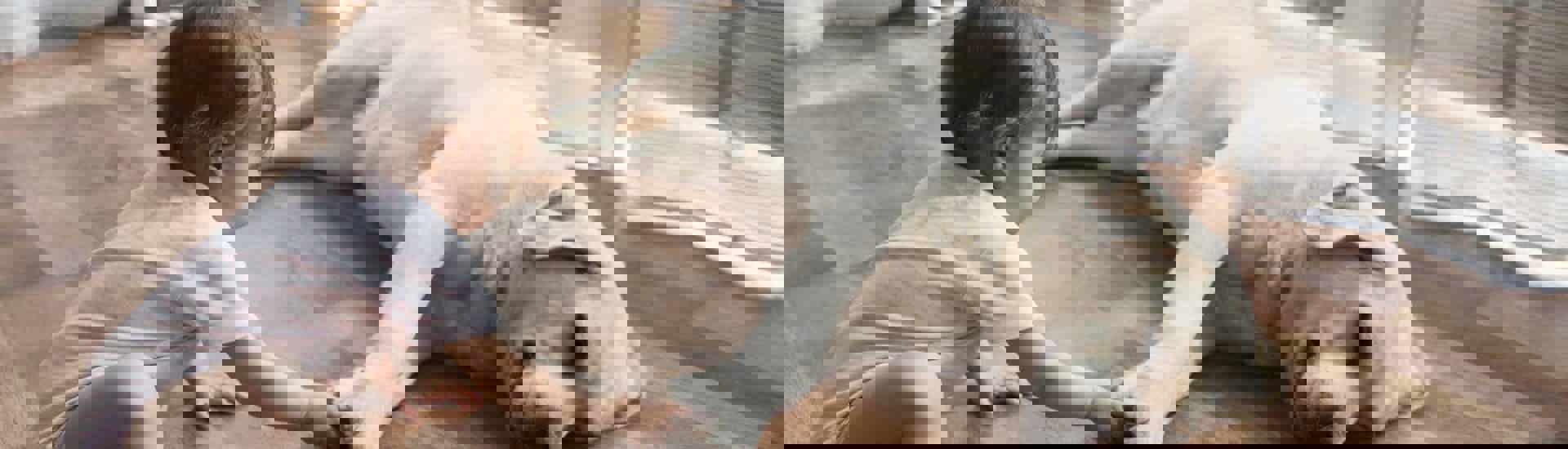 Baby samen met hond: maak het veilig voor baby en huisdier