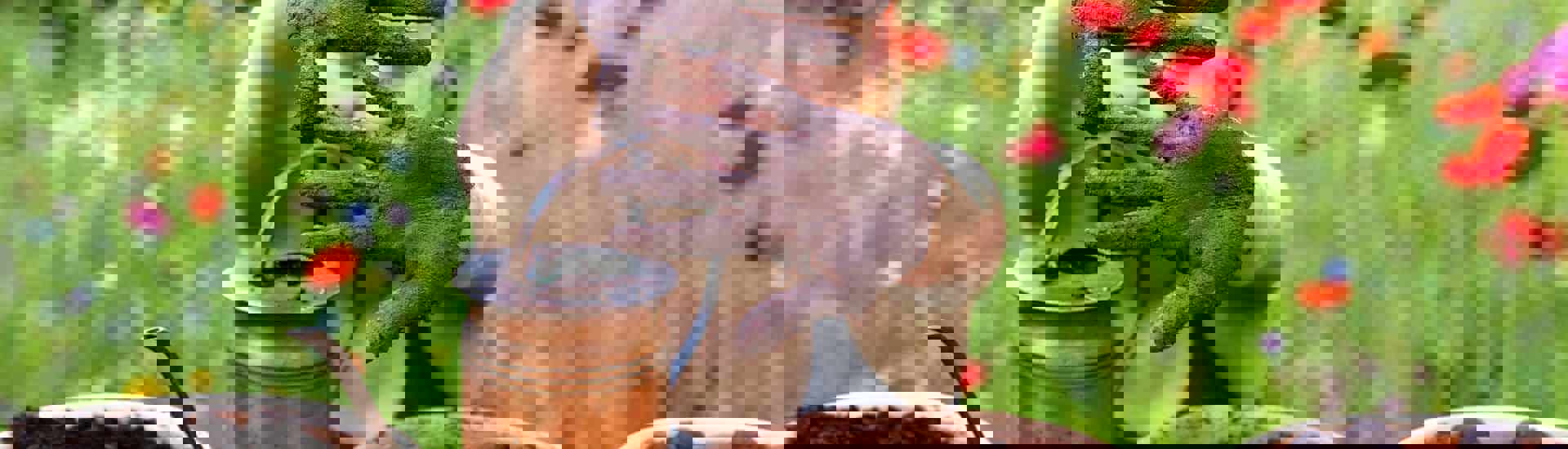 Kind speelt met aarde in de tuin: Vakantietip voor de zomer: maak bloemzaadbommetjes