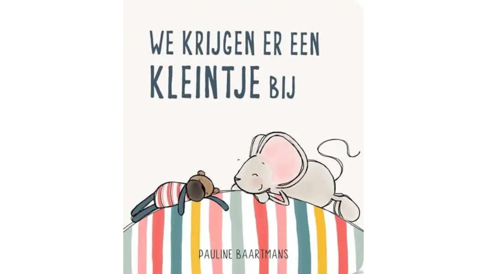 Voorleesboek: We krijgen er een kleintje bij